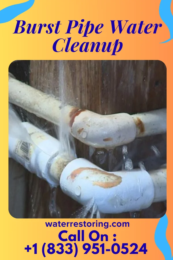 Burst Pipe Water Cleanup in Mylo, ND