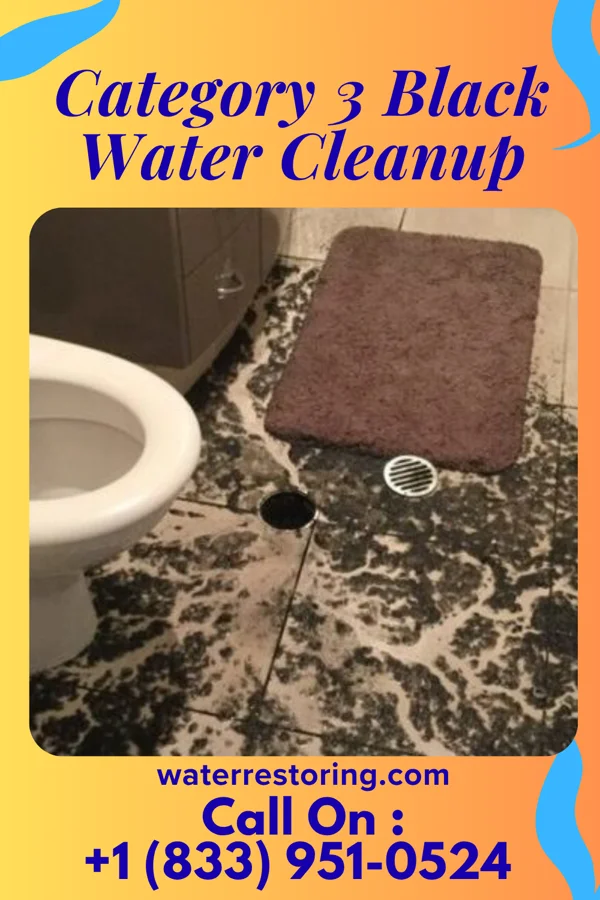 Category 3 Black Water Cleanup in Mylo, ND
