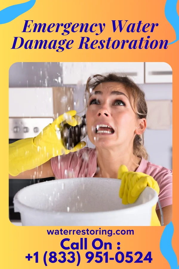 Emergency Water Damage Restoration in Mylo, ND