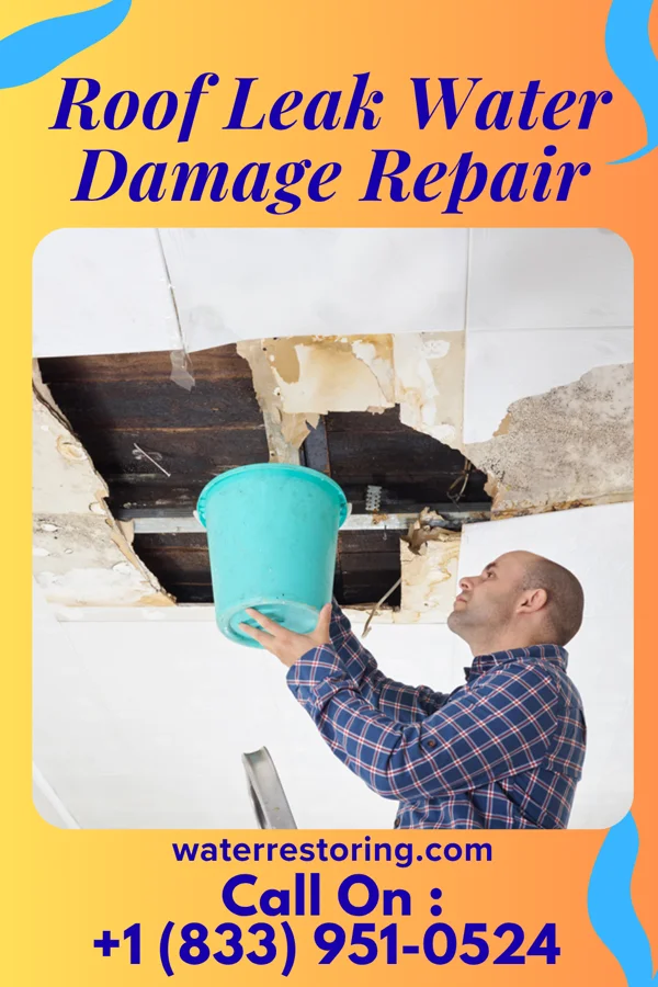Roof Leak Water Damage Repair in Mylo, ND