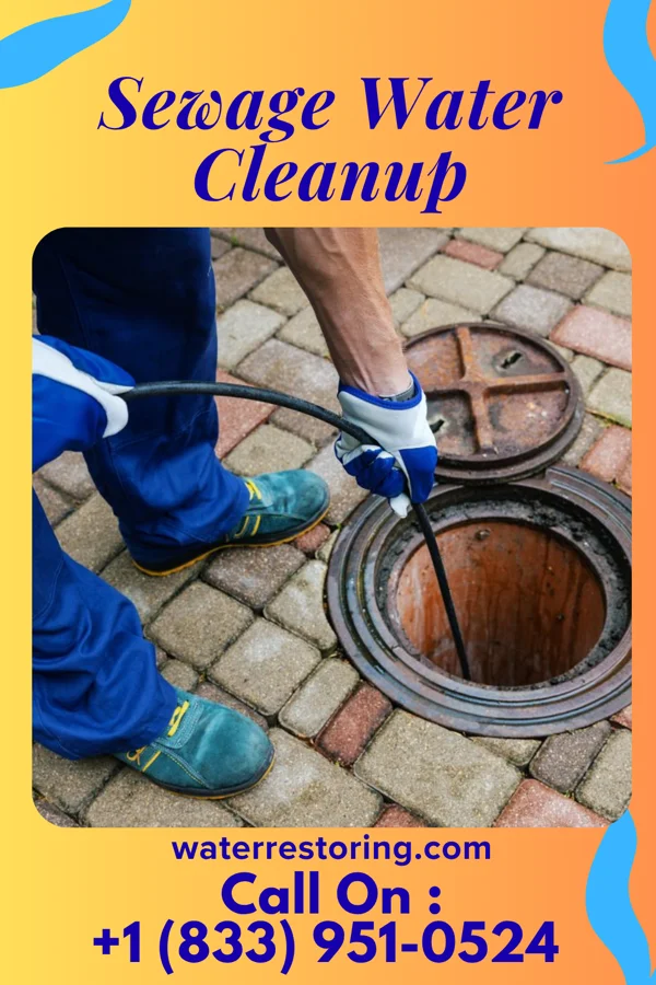 Sewage Water Cleanup in Mylo, ND