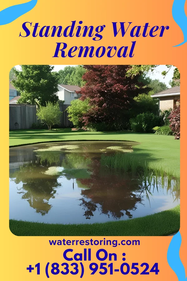 Standing Water Removal in Mylo, ND